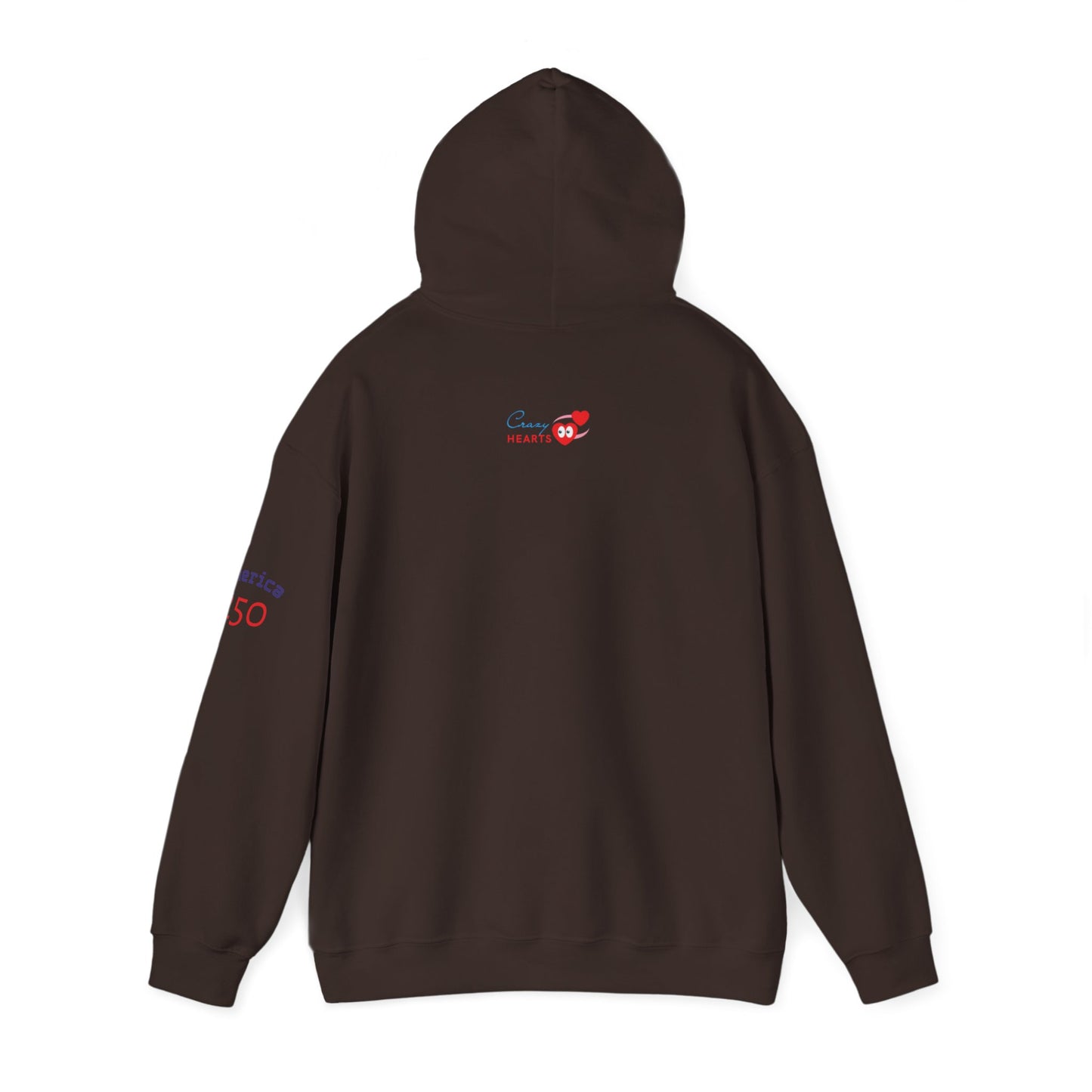 American Flag Brushstroke Hoodie — Patriotic USA Pullover (4th of July, Memorial Day)
